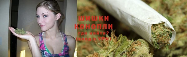 ГАЛЛЮЦИНОГЕННЫЕ ГРИБЫ Магас