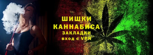 ГАЛЛЮЦИНОГЕННЫЕ ГРИБЫ Магас