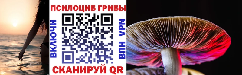 Псилоцибиновые грибы GOLDEN TEACHER  Купить закладки  Асино 