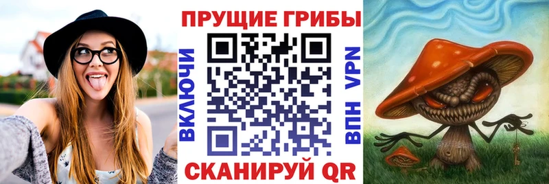 Галлюциногенные грибы мицелий Асино